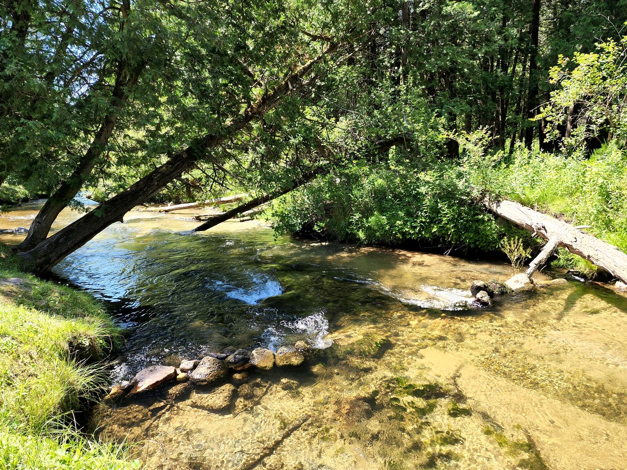 Secluded Rustic Cabin with Hot Tub Near Pere Marquette River in Big Rapids, Michigan