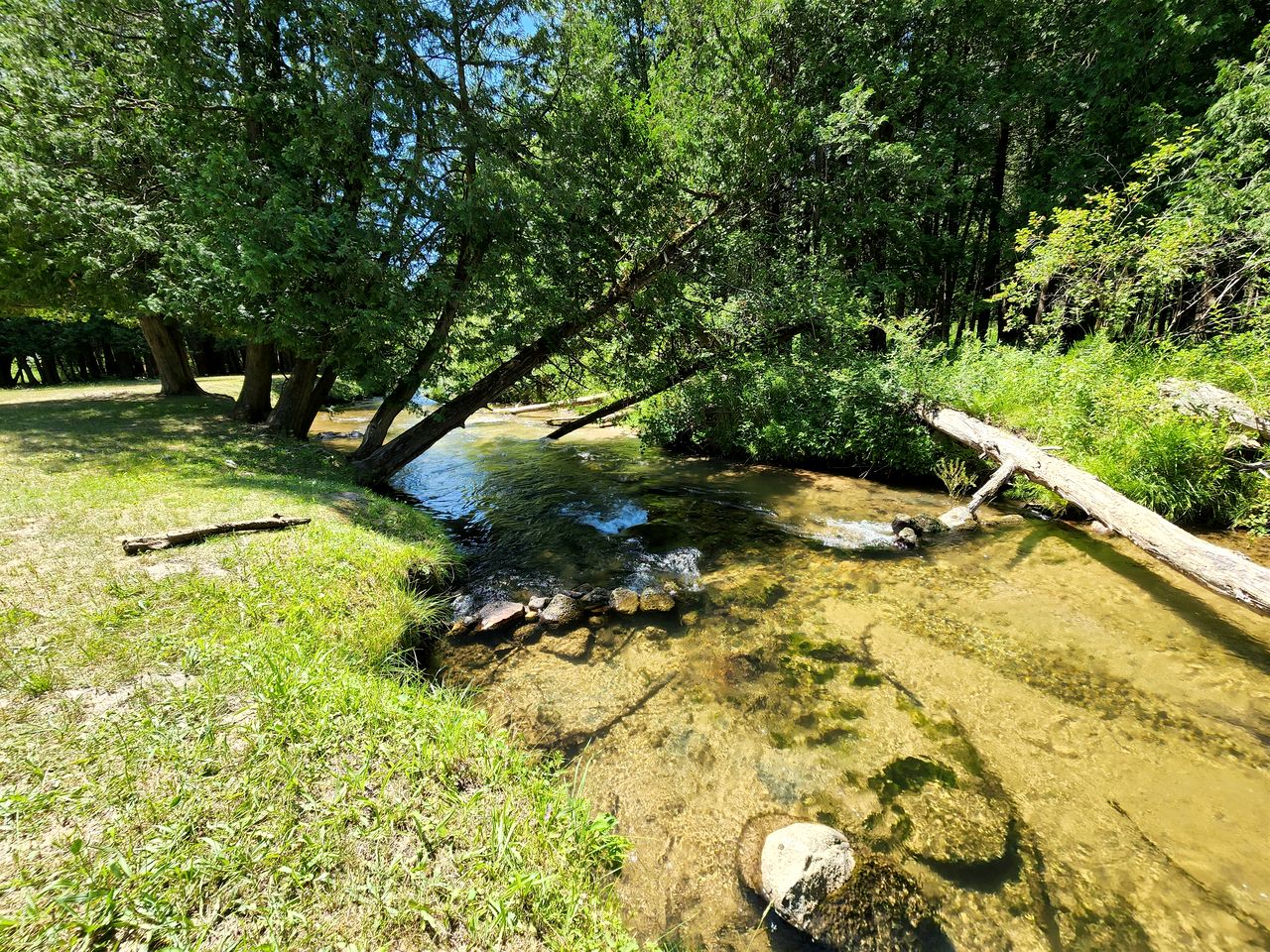 Secluded Rustic Cabin with Hot Tub Near Pere Marquette River in Big Rapids, Michigan