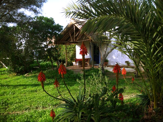 Cottages (Los Caños de Meca, Andalusia, Spain)