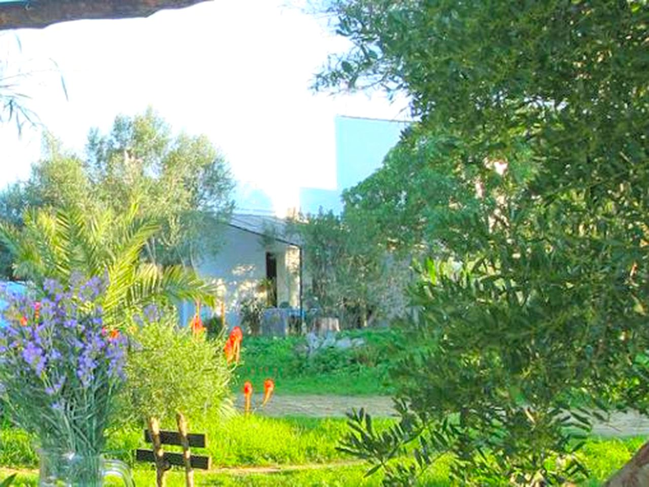 Idyllic Beach Cottage Rental for an Unforgettable Vacation on the Costa de la Luz, Spain