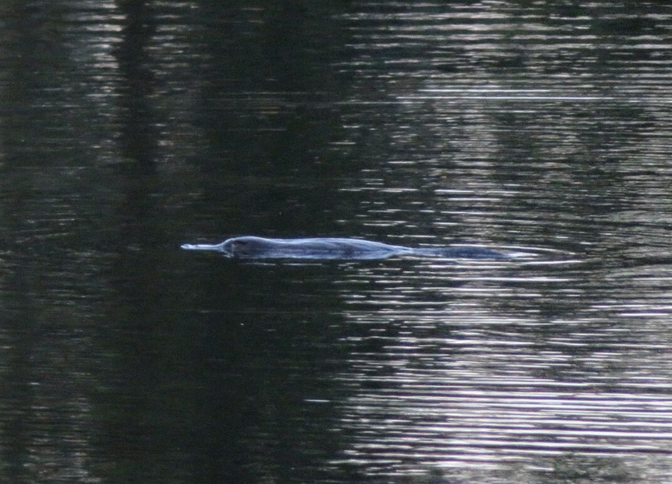 Idyllic Cottage Rental for a Farm Stay near Wynyard, Tasmania
