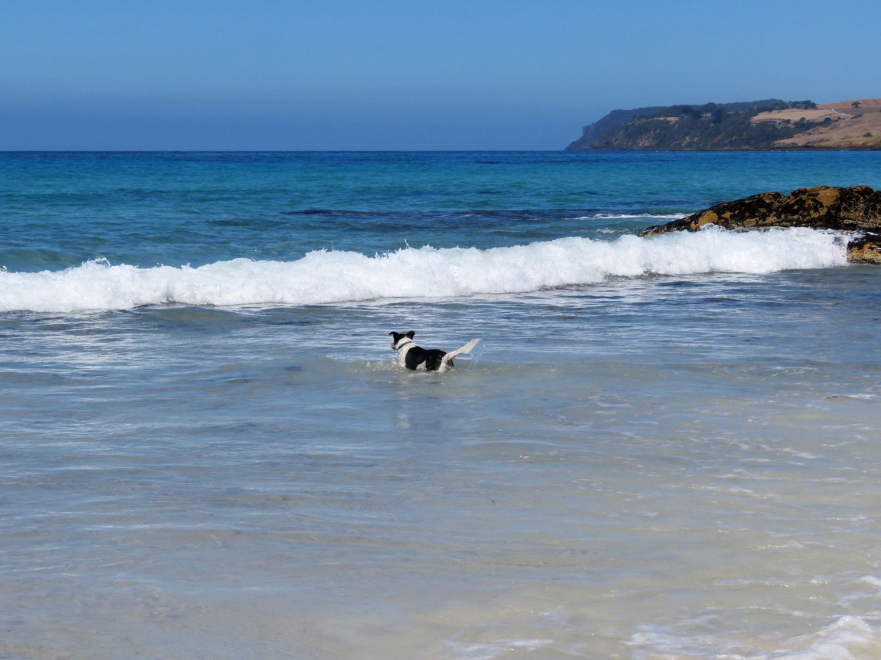 Idyllic Cottage Rental for a Farm Stay near Wynyard, Tasmania