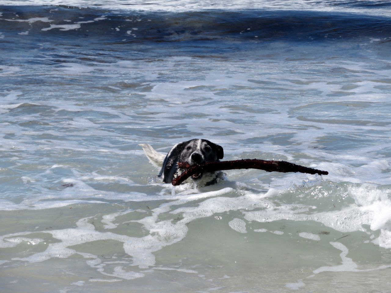 Idyllic Cottage Rental for a Farm Stay near Wynyard, Tasmania