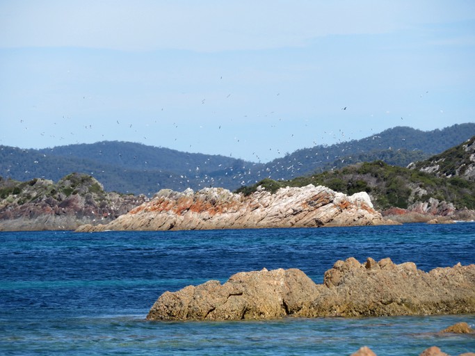 Cottages (Wynyard, Tasmania, Australia)