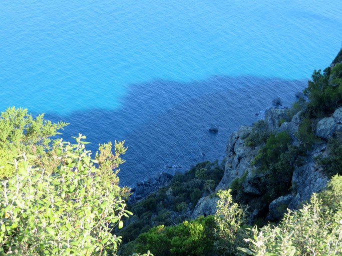 Cottages (Wynyard, Tasmania, Australia)