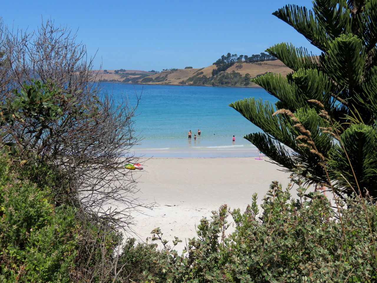 Idyllic Cottage Rental for a Farm Stay near Wynyard, Tasmania