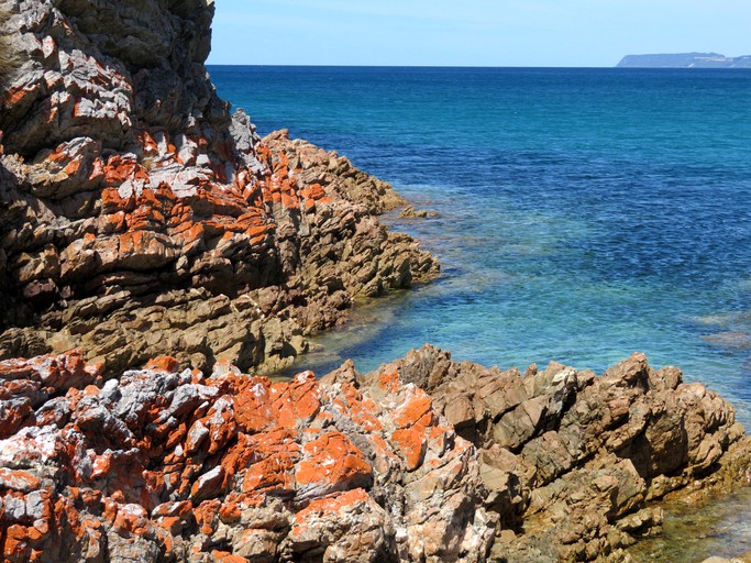 Cottages (Wynyard, Tasmania, Australia)
