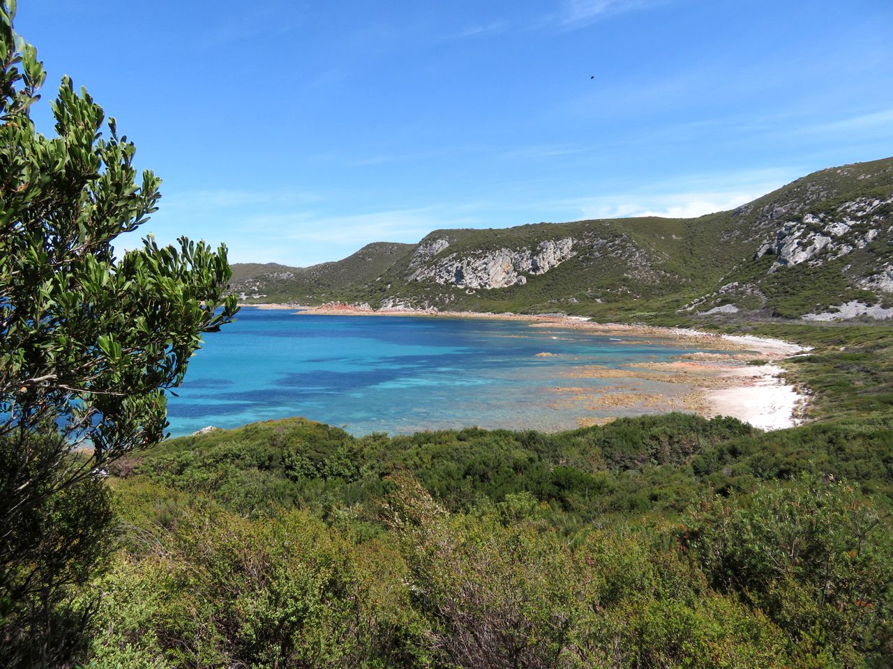 Idyllic Cottage Rental for a Farm Stay near Wynyard, Tasmania