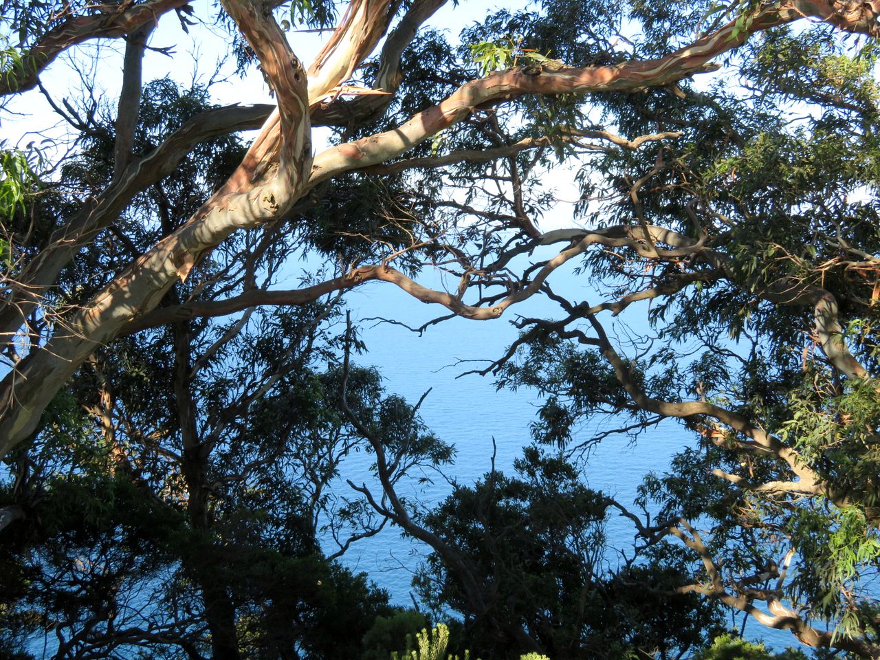 Idyllic Cottage Rental for a Farm Stay near Wynyard, Tasmania