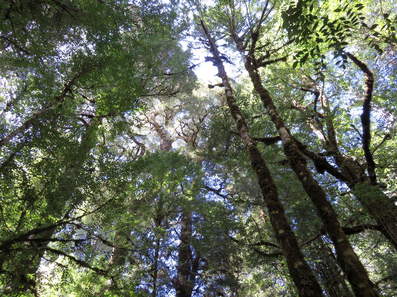 Idyllic Cottage Rental for a Farm Stay near Wynyard, Tasmania