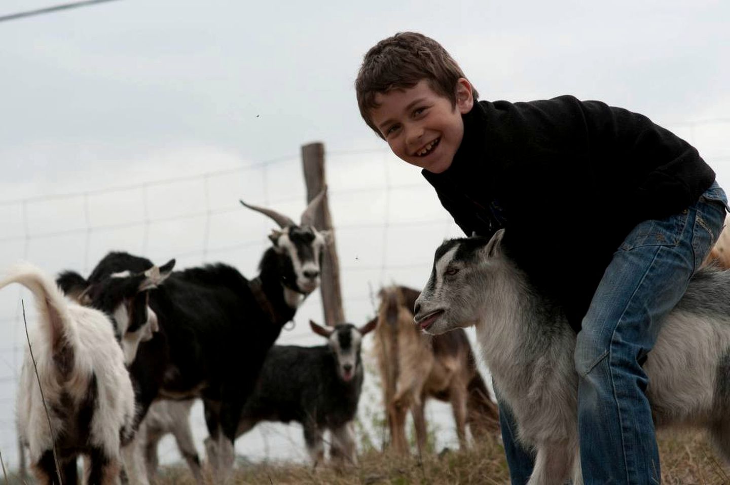 Idyllic Family Getaway on a Working Farm in Transylvania, Romania