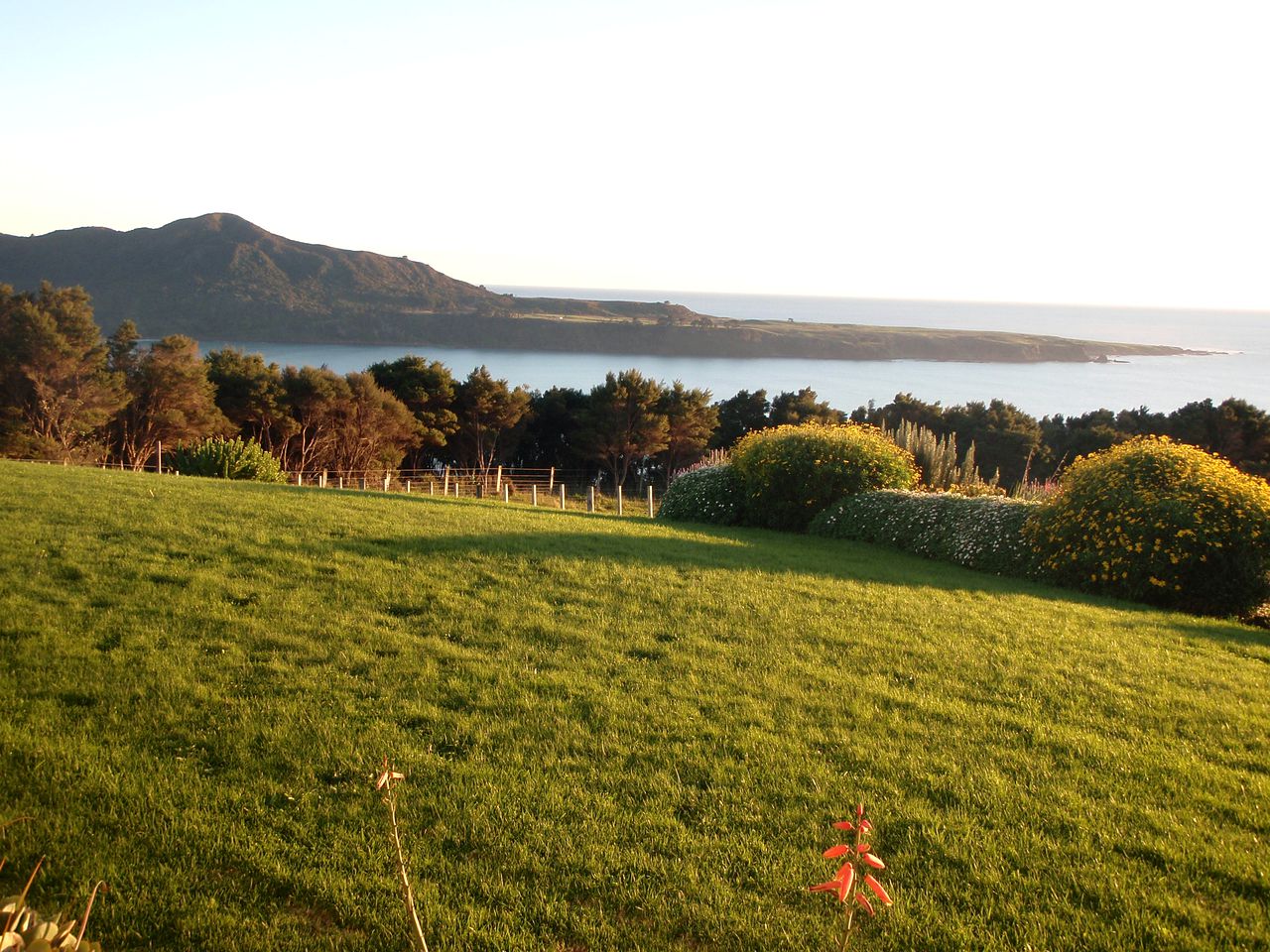 Idyllic Holiday Cottage with Coastal Views near East Cape, New Zealand