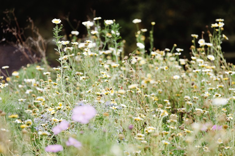 Cabins (United Kingdom, Walberton, England)