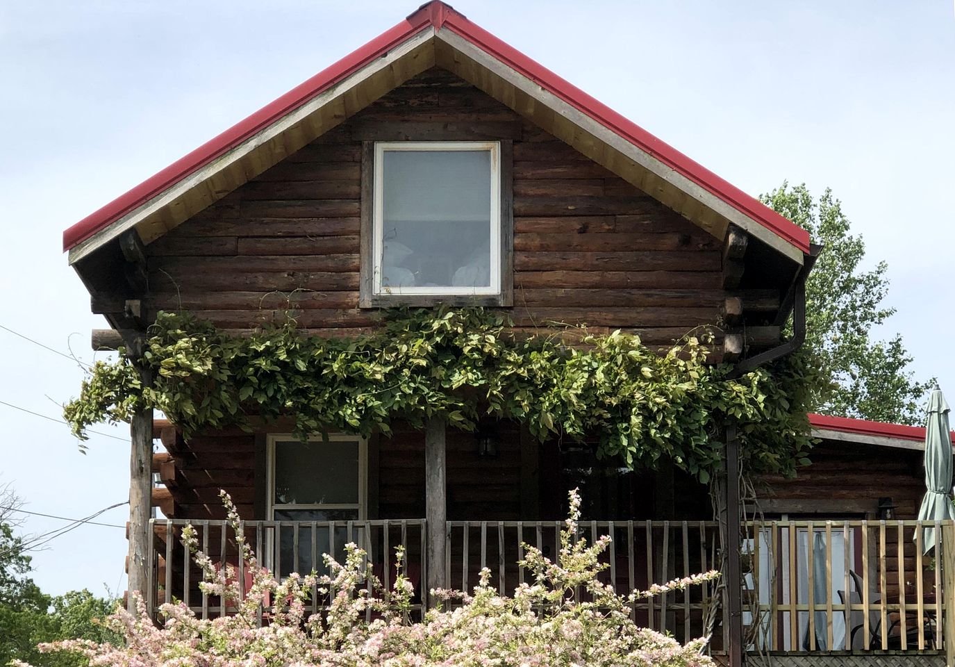 Cabin Rental by Lake of Egypt, Illinois