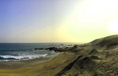 undefined photo 3