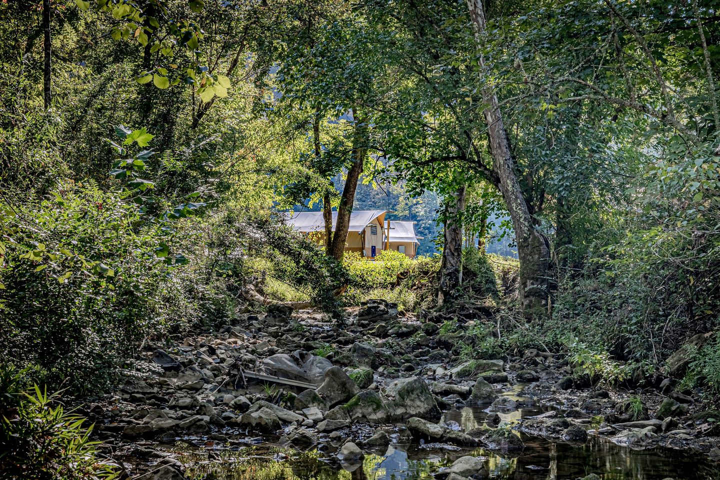 Idyllic Safari Tent Retreat near Smoky Mountains in Tennessee