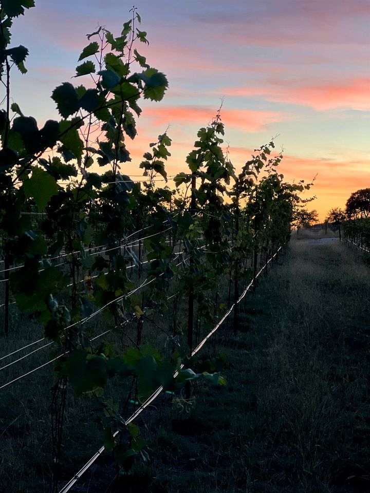 Idyllic Tented Cabin Incredible for Adventure Lovers in Texas
