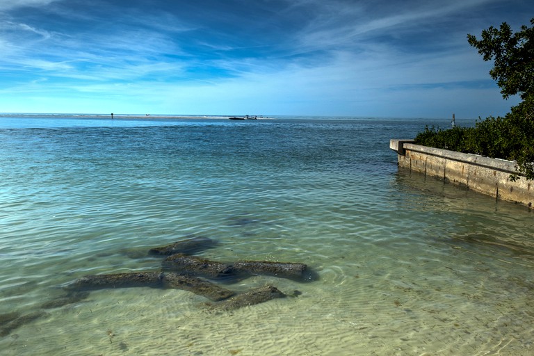 Beach Houses (Sarasota, Florida, United States)