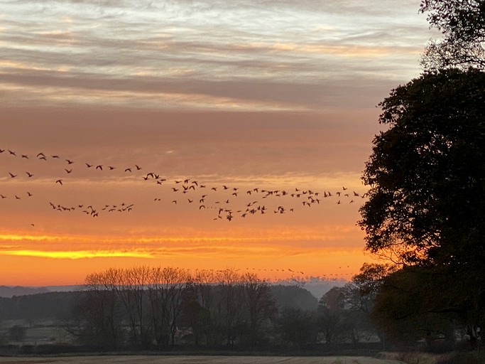 Romantic Shepherd Hut for a Glamping Getaway near Northumberland, England | Huts (Newcastle, England, United Kingdom)