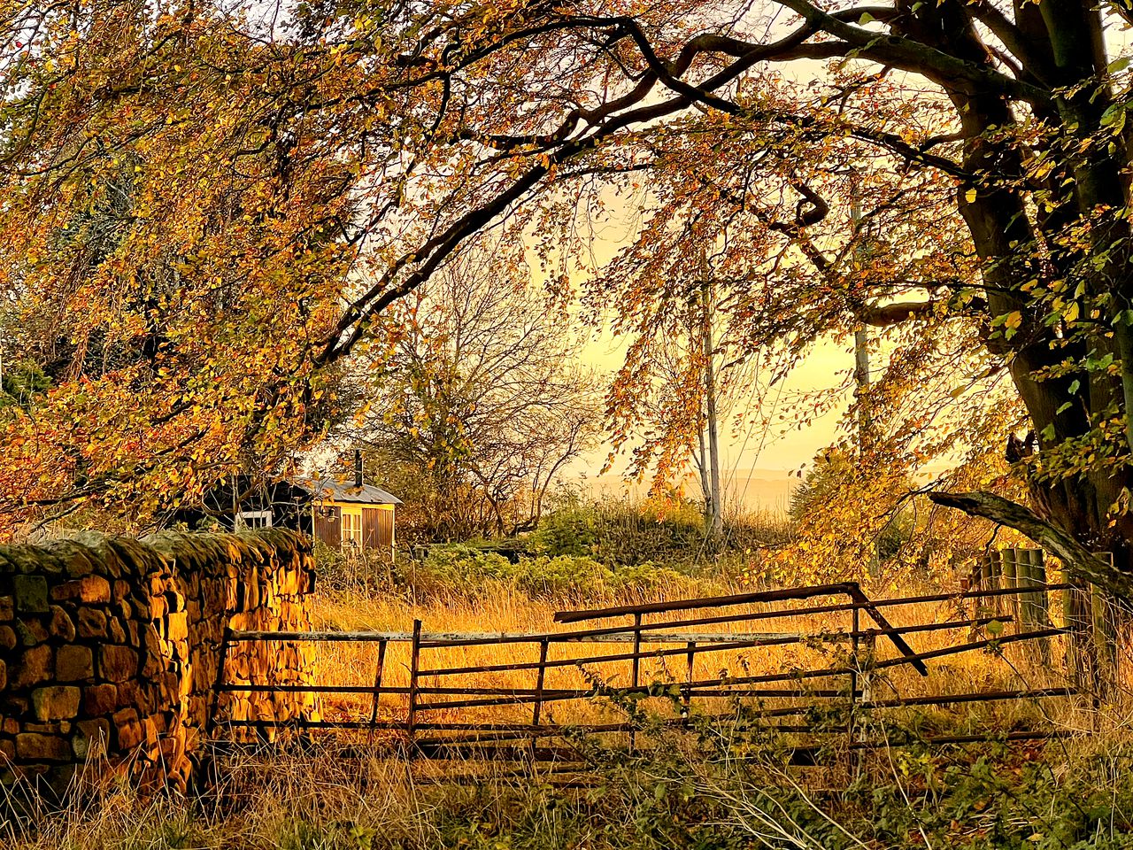 Romantic Shepherd Hut for a Glamping Getaway near Northumberland, England