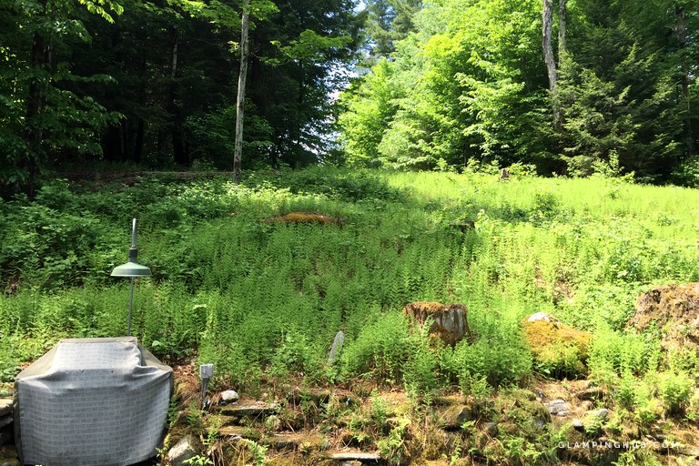 Tree House Rental Great Barrington, MA Glamping Hub