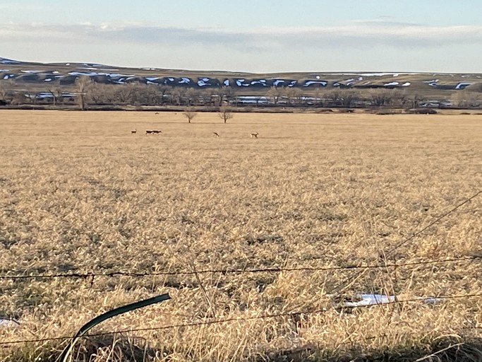 Lovely Cabins with a View near the Bighorn River in Fort Smith, Montana | Cabins (Fort Smith, Montana, United States of America)