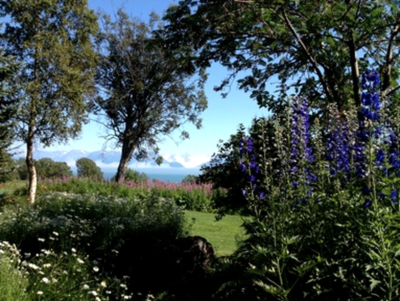 Picturesque Cabin Rental for a Romantic Getaway near Kachemak, Alaska