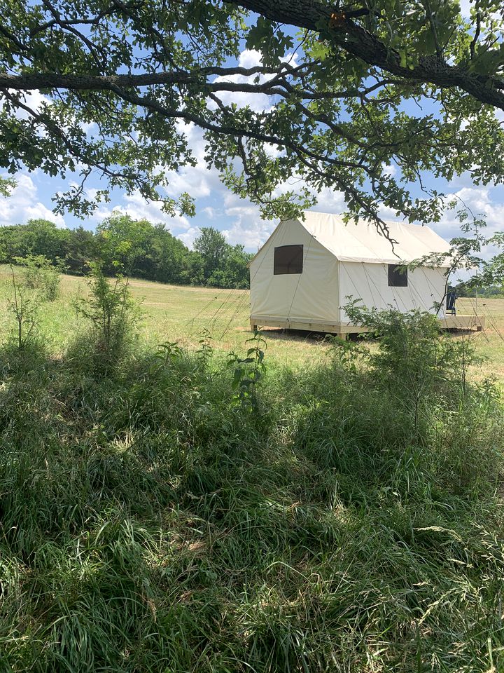 Fantastic Safari Tent Rental Ideal for Glamping in Missouri