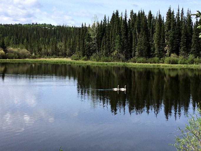 Cottages (Nordegg, Alberta, Canada)