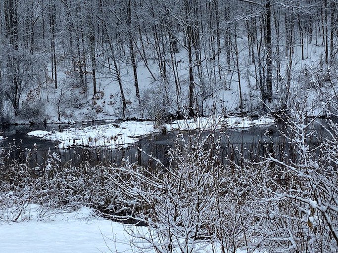 Yurts (Granville, New York, United States of America)