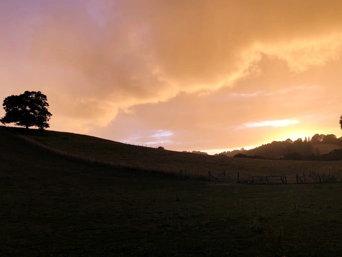 Yurts (Guildford, England, United Kingdom)