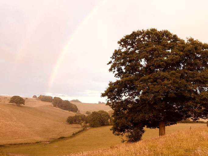 Yurts (Guildford, England, United Kingdom)