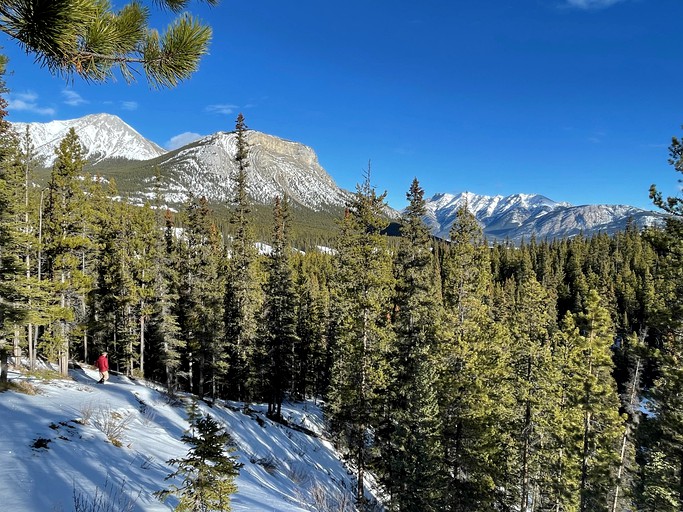 Cabins (Nordegg, Alberta, Canada)