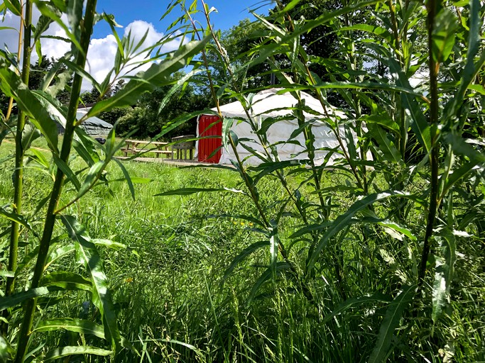 Gorgeous Yurt Rental for Tranquil Camping Getaway to Exmoor, England | Yurts (Somerset, England, United Kingdom)