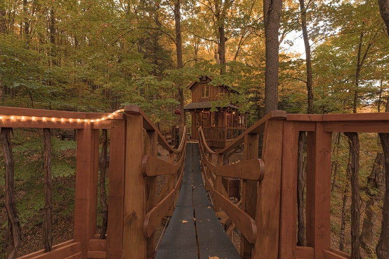 Tree Houses (Lafayette, New York, United States of America)