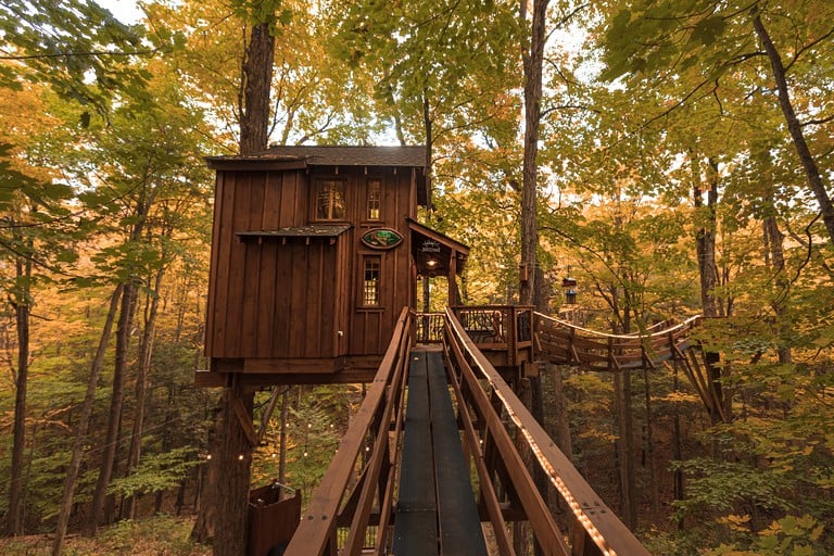 Tree Houses (Lafayette, New York, United States of America)