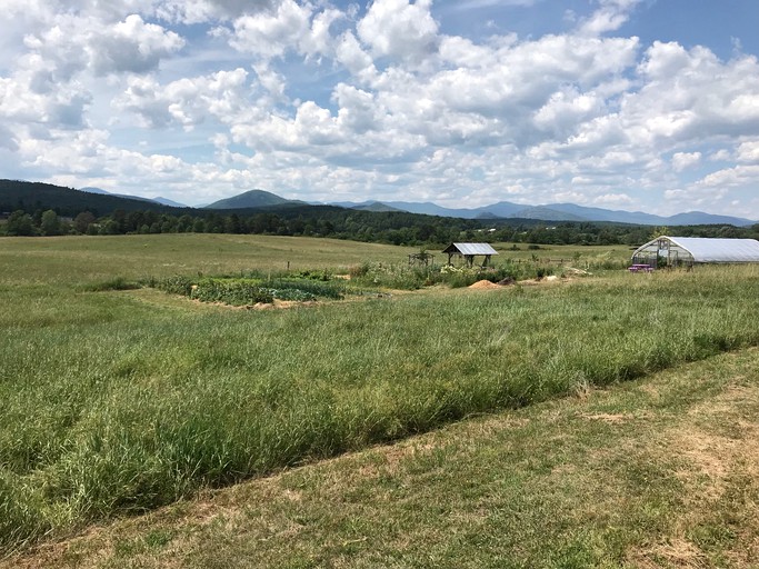Bell Tents (Westport, New York, United States of America)