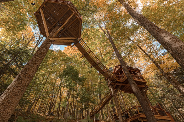 Tree Houses (Lafayette, New York, United States of America)