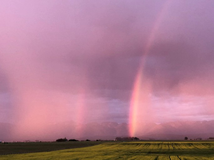 Cabins (Somers, Montana, United States)