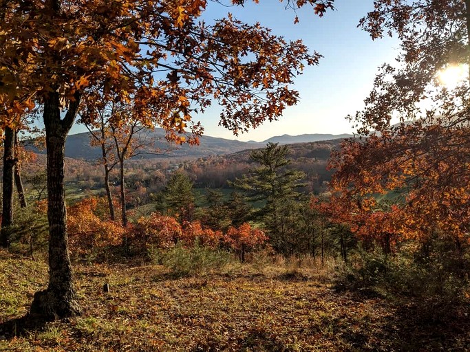 Cabins (United States of America, Goshen, Virginia)