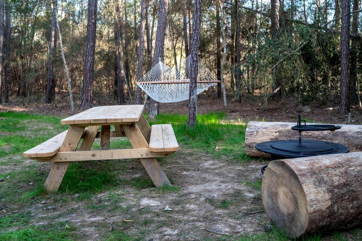 Impressive Cabin with Hammock in Montgomery, Texas