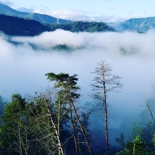 Cabins (United States of America, Gatlinburg, Tennessee)