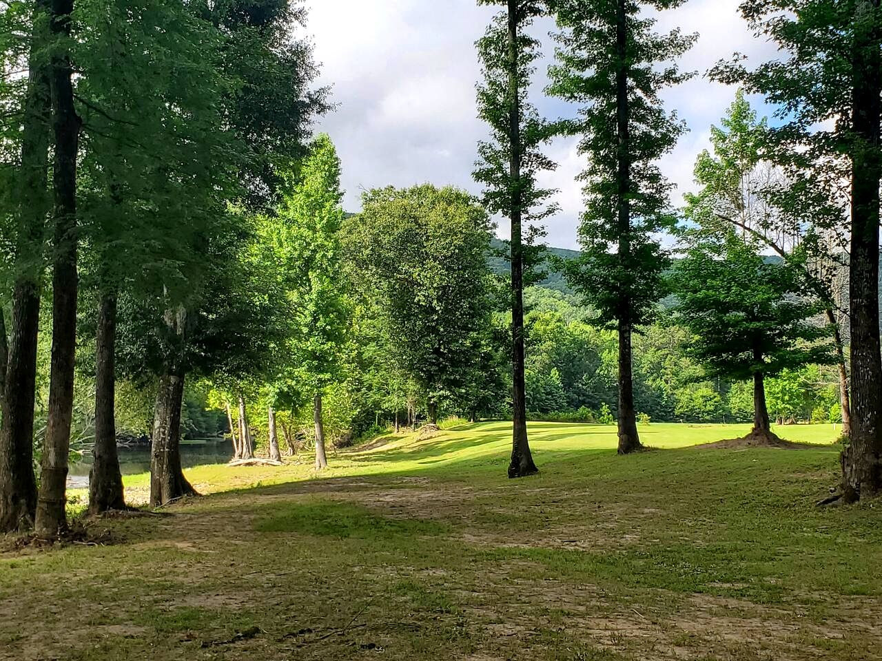 Impressive Cabin Surrounded by Trees in Nashoba, Oklahoma