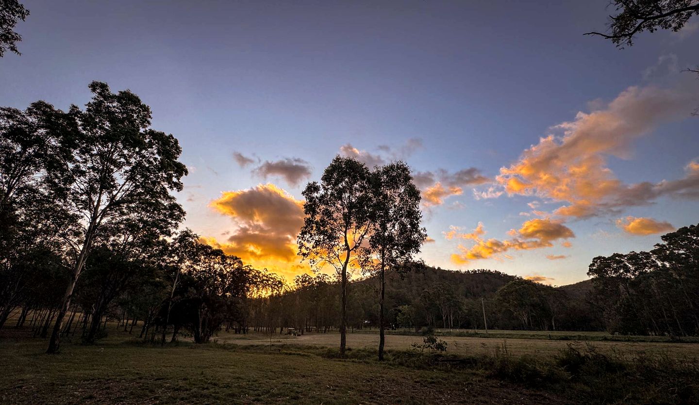 Impressive Tiny House Nestled Amidst Trees in Broke, New South Wales