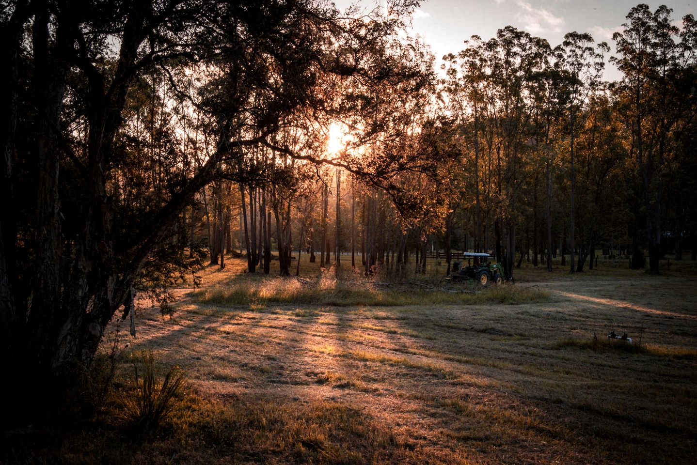 Impressive Tiny House Nestled Amidst Trees in Broke, New South Wales