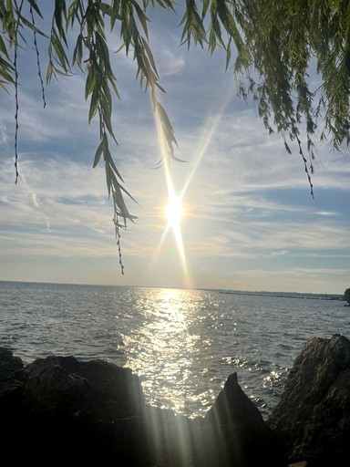 Cottages (Canada, Leamington, Ontario)