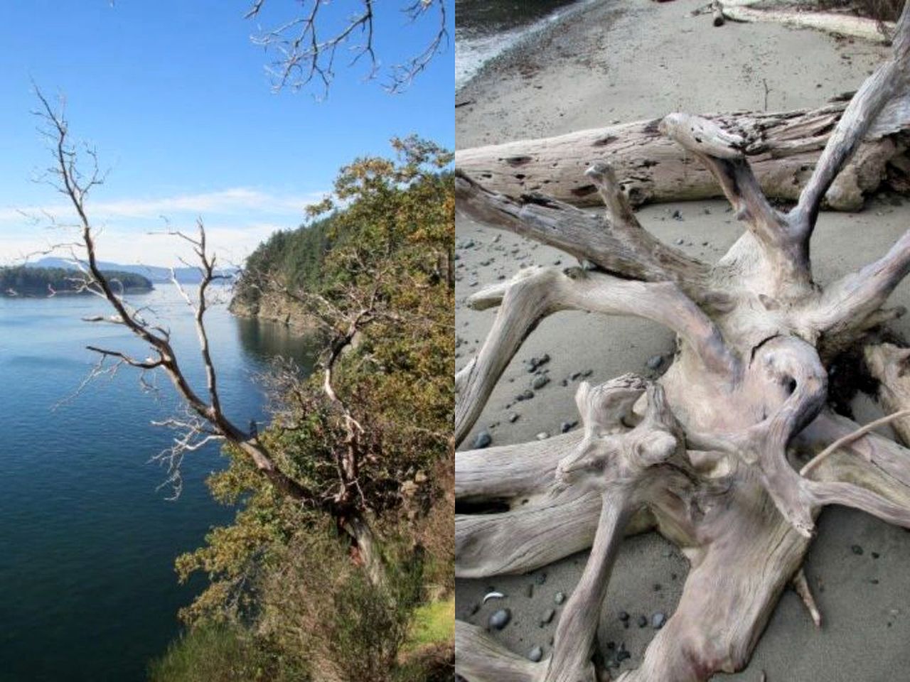 Log Cabin Rental with Sublime Views of the Water on Galiano Island in British Columbia