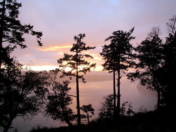 Log Cabins (Galiano Island, British Columbia, Canada)