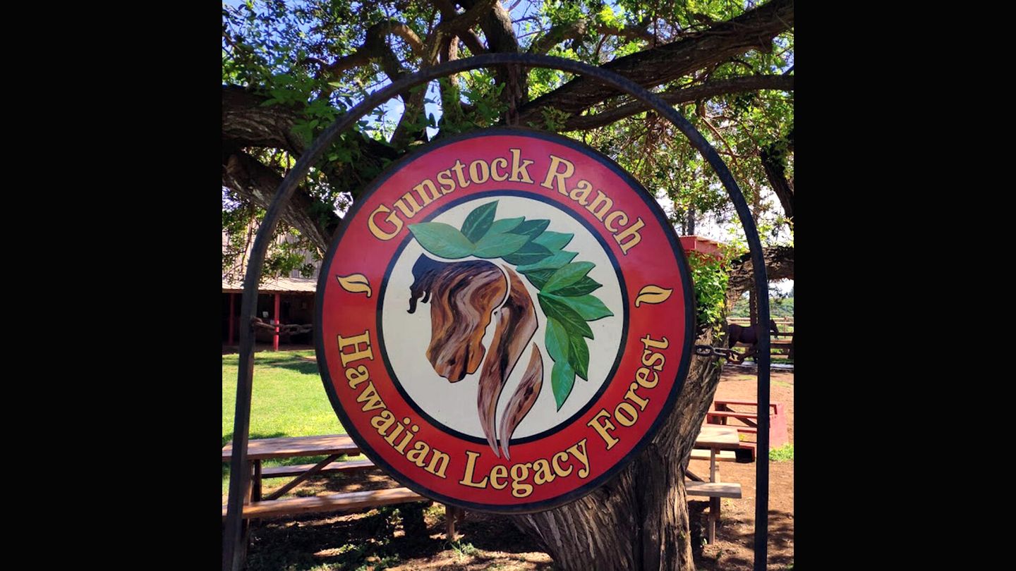 Incredible Beach House with Stunning Views in Laie, Hawaii