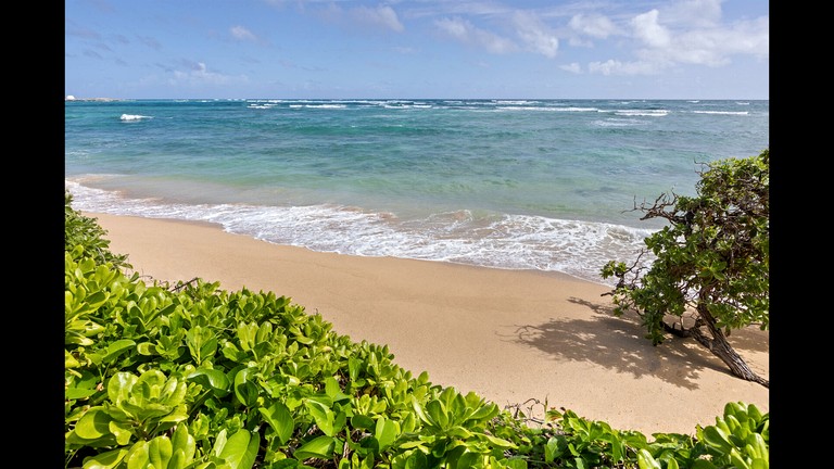 Beach Houses (United States of America, Laie, Hawaii)
